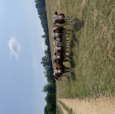 Le bénéfice du Doubs