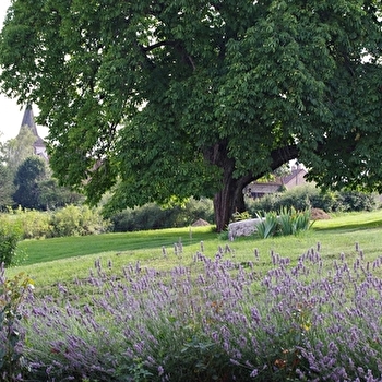 Armelle Mugnier - CLOMOT