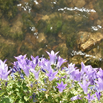La 'Petite Maison' - POUILLENAY