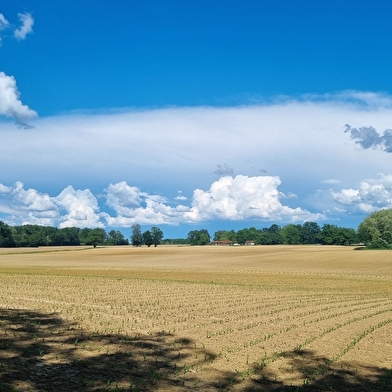 Circuit VTT-VTC n°26 (noir) - Tour de St Didier d'Aussiat