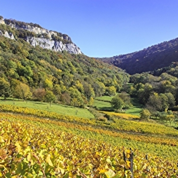 Balade à Lavigny - LAVIGNY