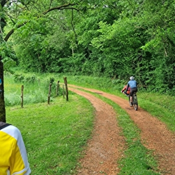 Circuit VTTAE n°21 (bleu) Cheminées Sarrasines & Etangs bressans - SAINT-TRIVIER-DE-COURTES