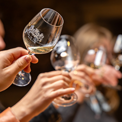 Château historique de Pierreclos