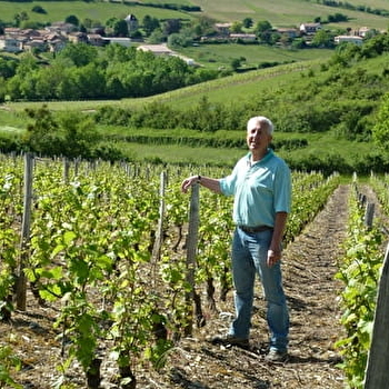 Domaine de la Jobeline - VERZE