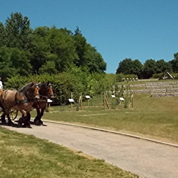 MONTCEAU-LES-MINES - MONTCEAU-LES-MINES