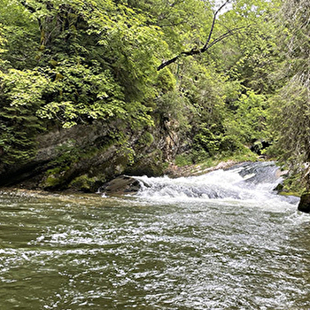 Doubs Jura Pêche - MAISONS-DU-BOIS-LIEVREMONT