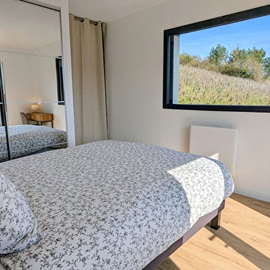 Savigny Vineyard View