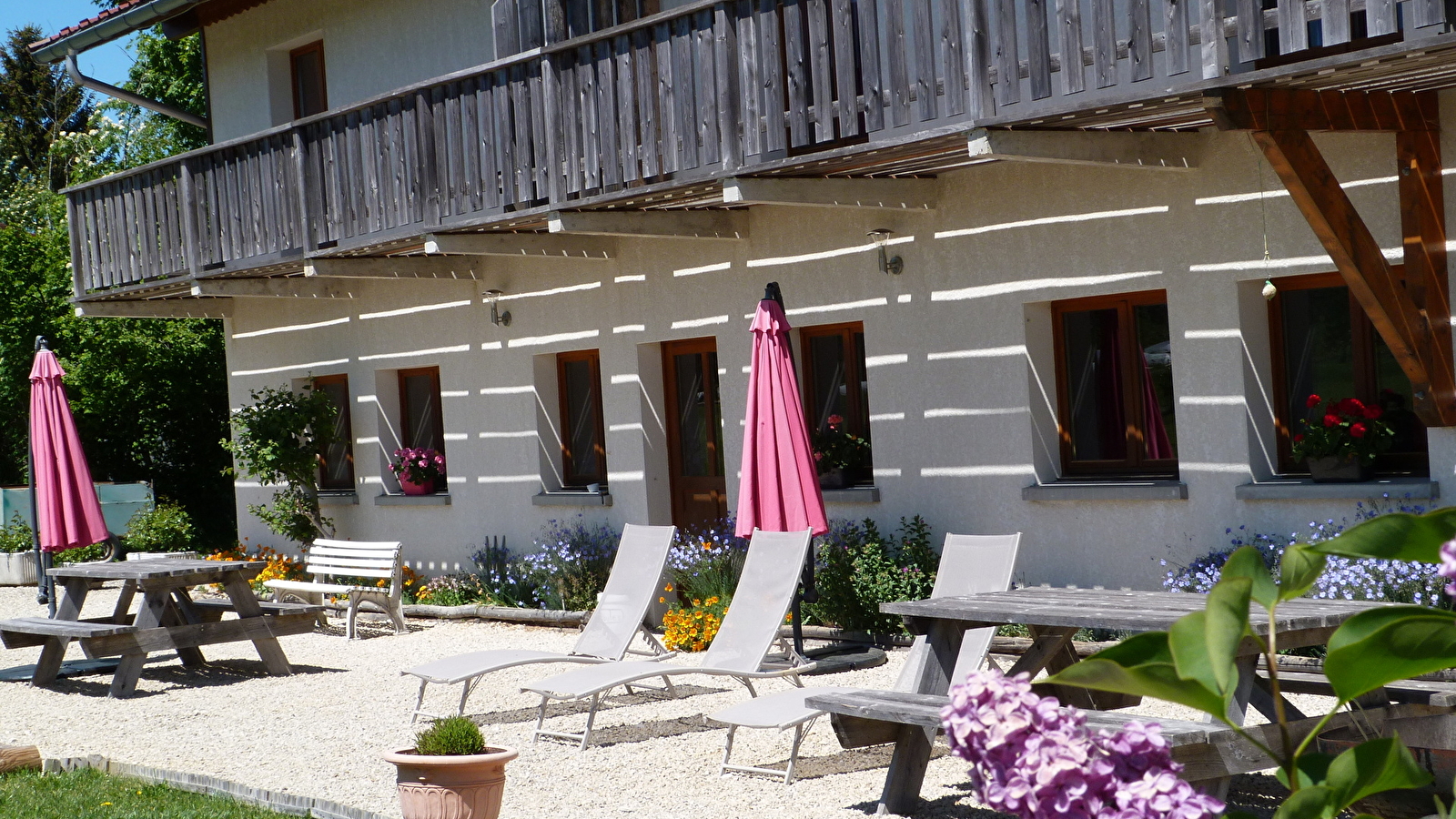 Appartement - Gentiane Jaune