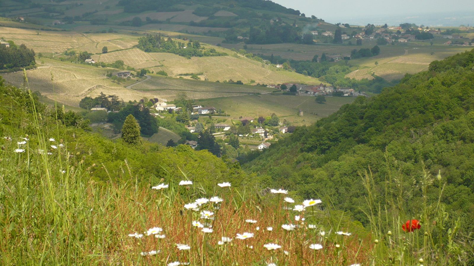 Circuit VTT B3 de Beaujeu à St Didier/Beaujeu
