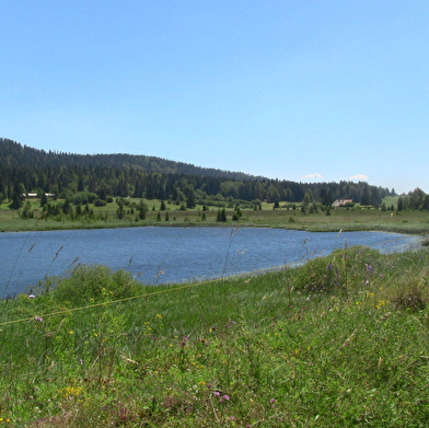 Grandvaux, Malvaux, au fil de l’eau
