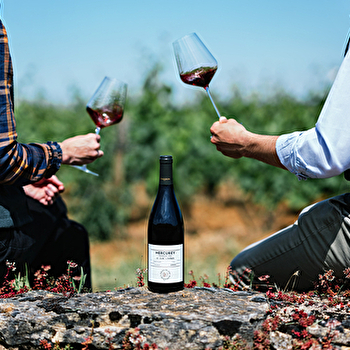 Domaine Chanson - Dégustation Découverte des Terroirs - BEAUNE