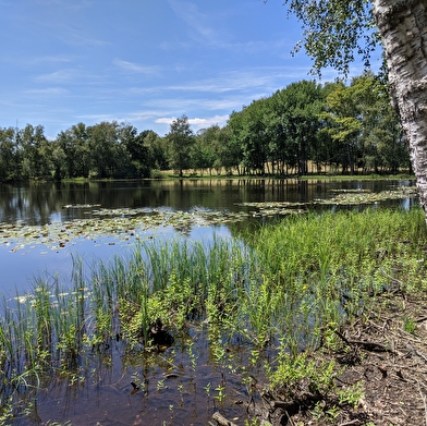 Le Sentier du Bois des Hauts