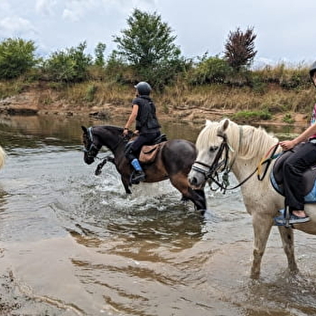 Écurie de la Violette - Monitrice indépendante - BROYE-AUBIGNEY-MONTSEUGNY