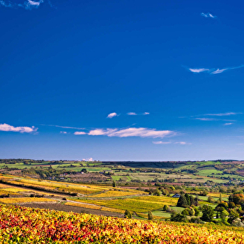 Les Balcons de Dracy - DRACY-LES-COUCHES