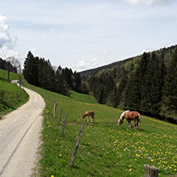 Tour du Grand Taureau - PONTARLIER