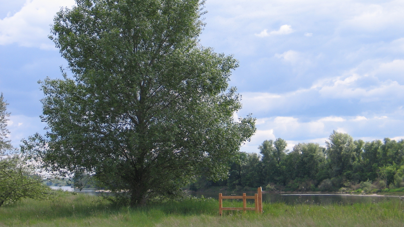 Balade en famille : Les sentiers-nature des Brocs
