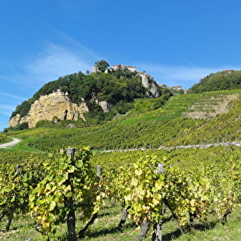 Le Vin Jaune - LONS LE SAUNIER