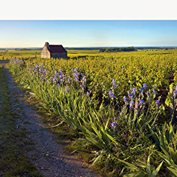 Circuit 02 : Hautes-Côtes Canal de Bourgogne - DIJON
