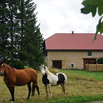 Studio « Le bois gentil » - FONCINE-LE-HAUT