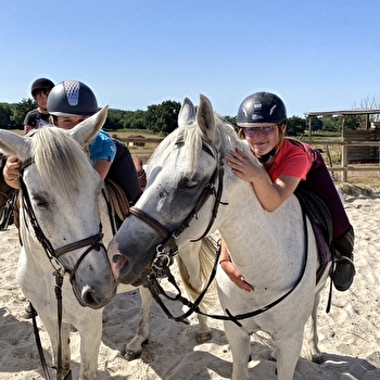 Elevage Frenchy - MALTAT