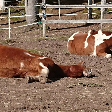 Ferme des Hauts Champs