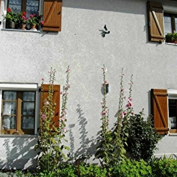 Appartement - Michèle Brenet - LA CLUSE-ET-MIJOUX