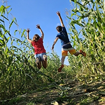 Labyrinthe de maïs - DECIZE