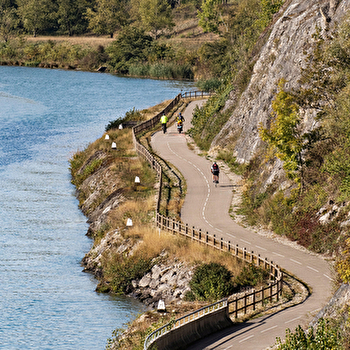 Circuit vélo : Lacs et vignes - BELLEY