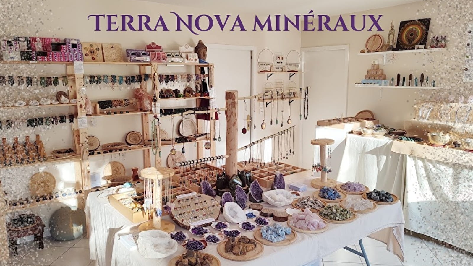 Terra Nova Mineraux