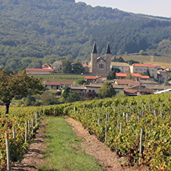 Circuit VTT B10 Villié-Morgon - VILLIE-MORGON