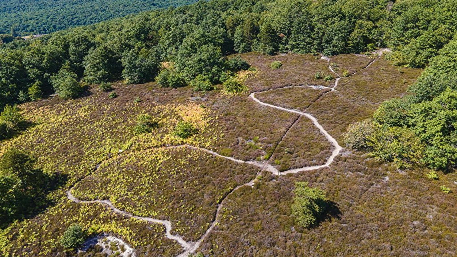 Le Printemps  des ENS de Saône-et-Loire : la Lande de Nancelle