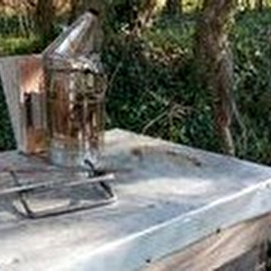 Abeilles et Découvertes