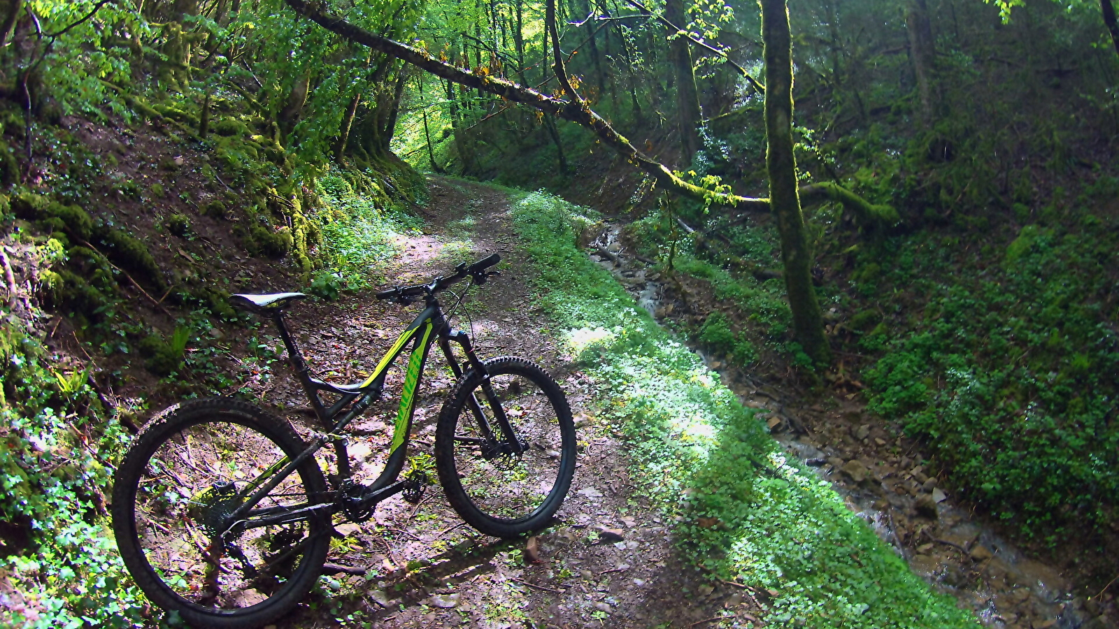 Circuit VTTAE n°1 (noir) - Montfort / Mont-Myon