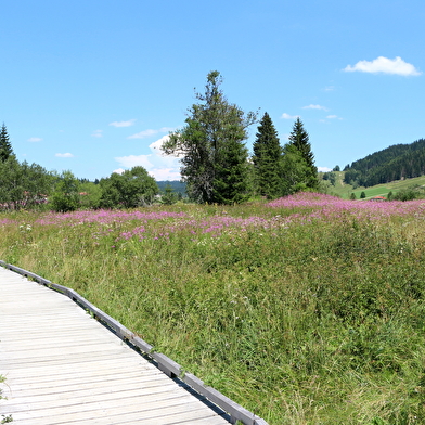 Sentier du Lac de Lamoura
