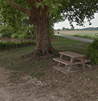 Aire de pique-nique du Platane - MONT-LES-SEURRE