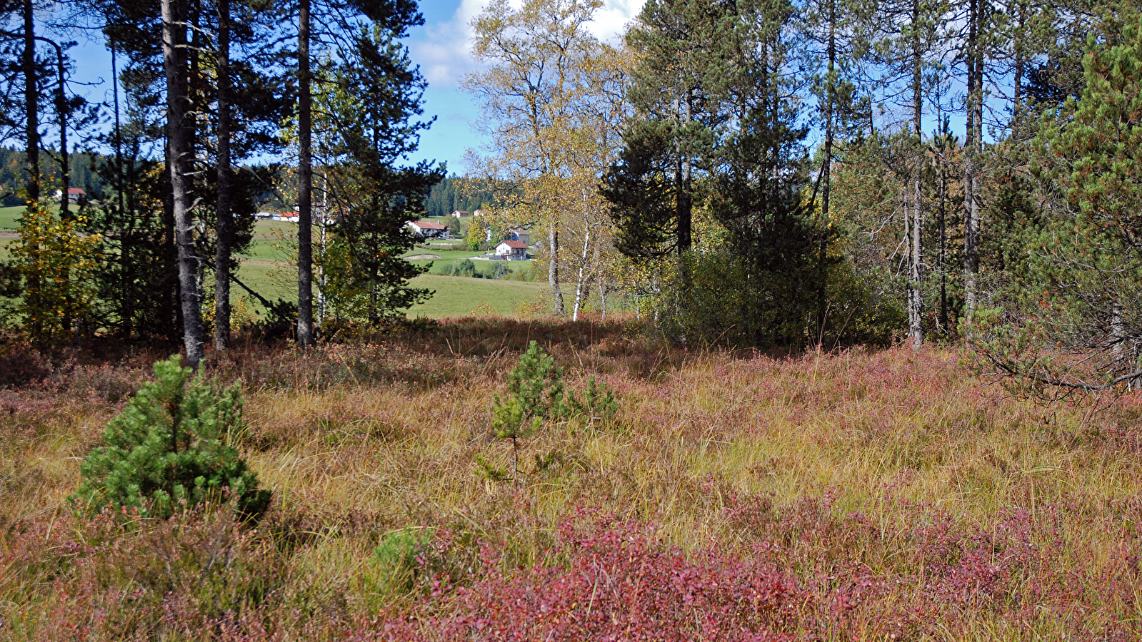 Réserve Naturelle Régionale des tourbières du bief du Nanchez