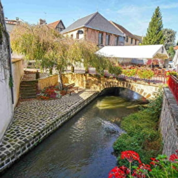 Le Moulin Fleury - SAINT-FARGEAU