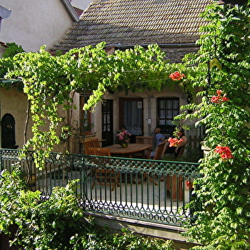 Le bon cépage - CHASSAGNE-MONTRACHET