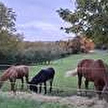 Les écuries de Mâlain - MALAIN