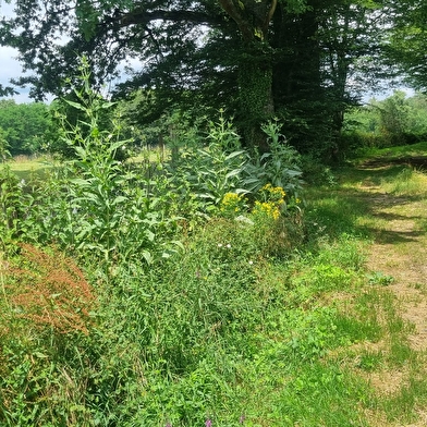 Circuit Gravel n°24 (rouge) - La St Martin