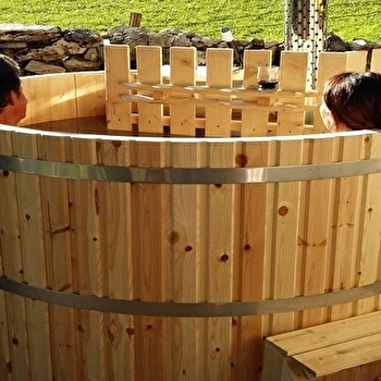 Cabane de l'Érable - LES PREMIERS SAPINS