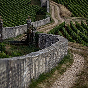 Chemins de Bourgogne - Après-midi en Côte de Nuits - Beaune