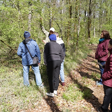 Randonnée : quel est donc cet arbre ? _ENS2026  'sur réservation'