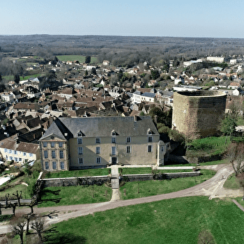 Tour Sarrasine - SAINT-SAUVEUR-EN-PUISAYE