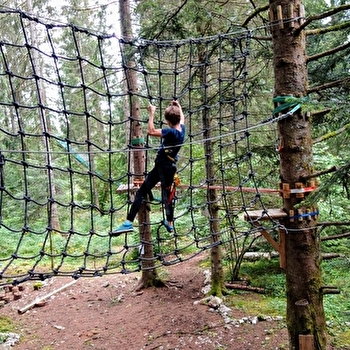 Au fil des arbres - MALBUISSON