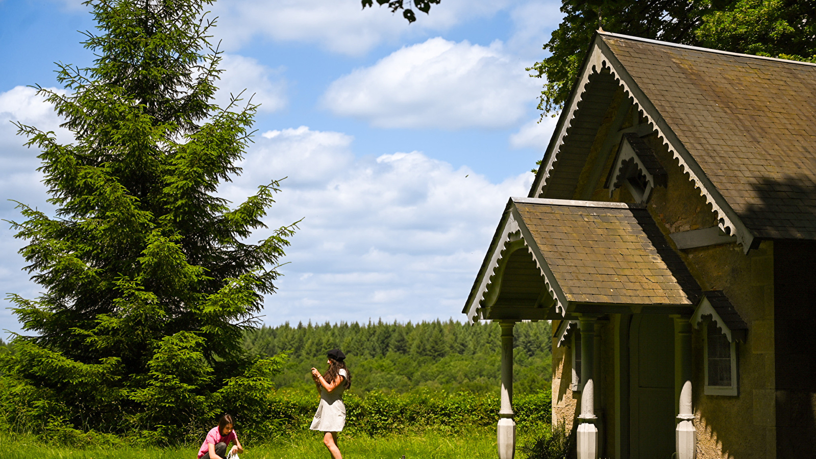 Entre mares et forêts