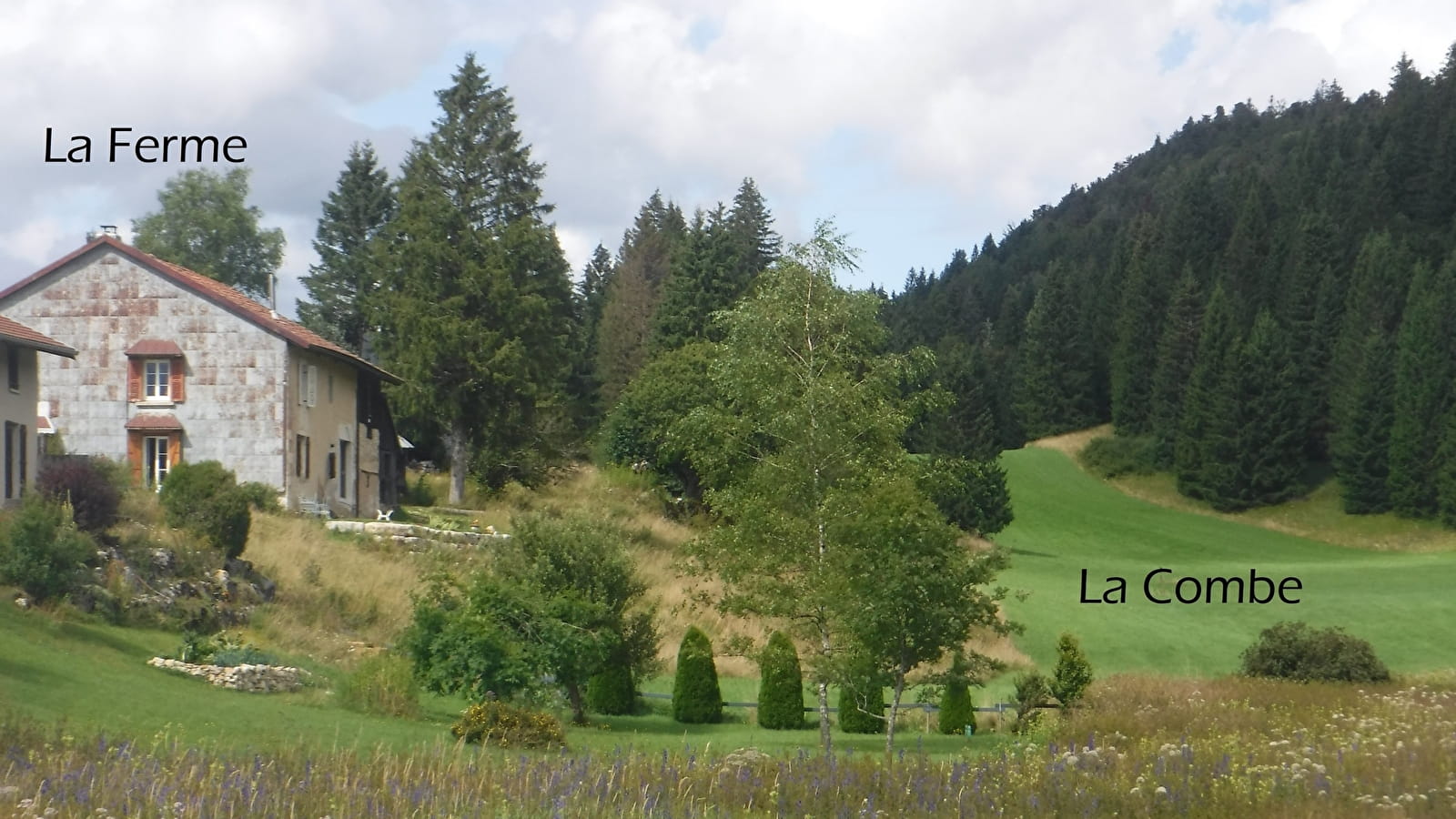 Les Tourbières du Nanchez - R Martinello