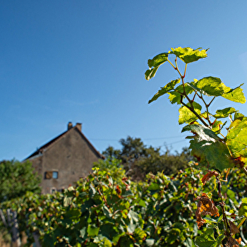 Domaine des As - PERONNE