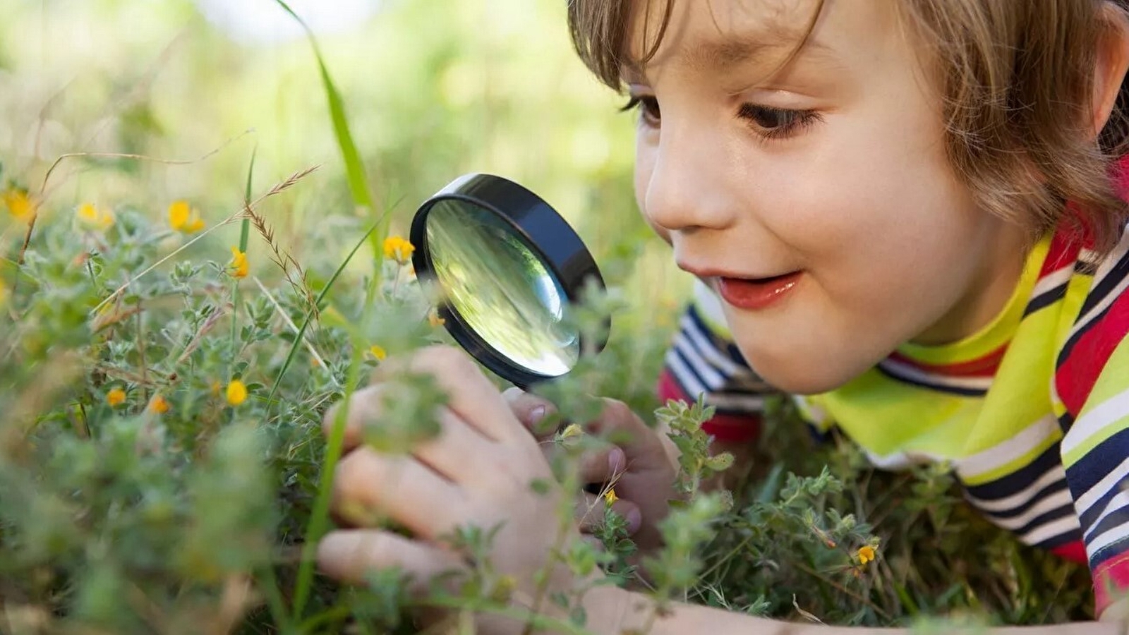 Séjour 100% printemps au Duchet
