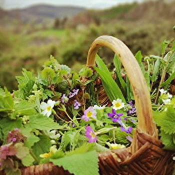 L'Appel des Bois - LA COMELLE